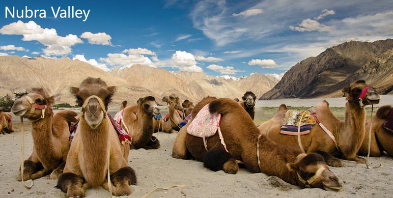 Leh-Ladakh Tour With Friends