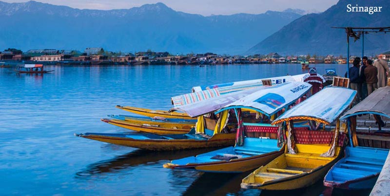 Kashmir Tour With Family & Friends