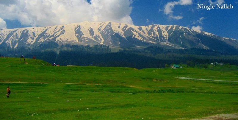 Kashmir Tour With Family & Friends