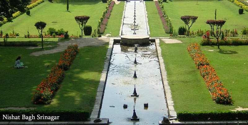 Kashmir Tour With Family & Friends