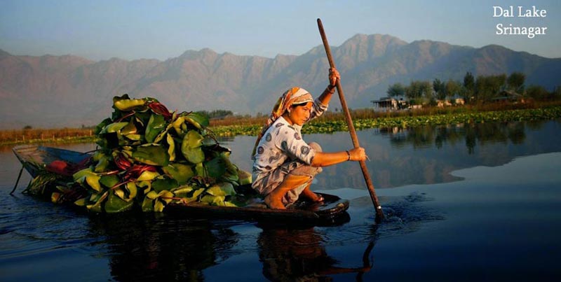 Group Tour Package Of Golden Triangle With Kashmir