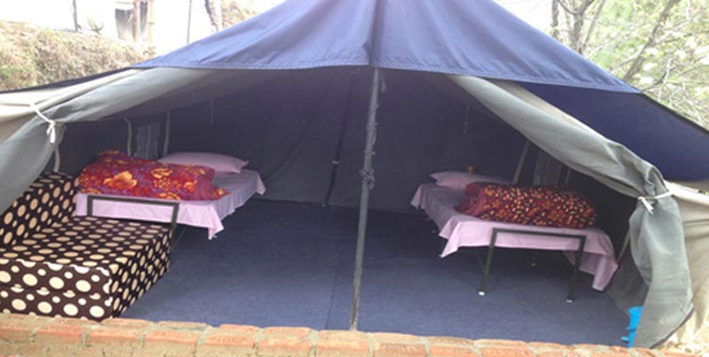 Learn Yoga In The Lap Of Nature Tour