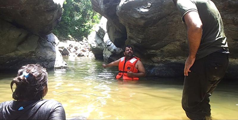 Learn Yoga In The Lap Of Nature Tour