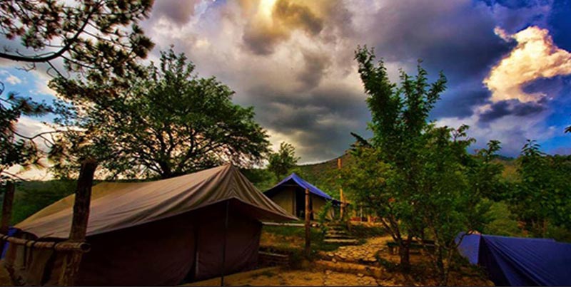 Learn Yoga In The Lap Of Nature Tour