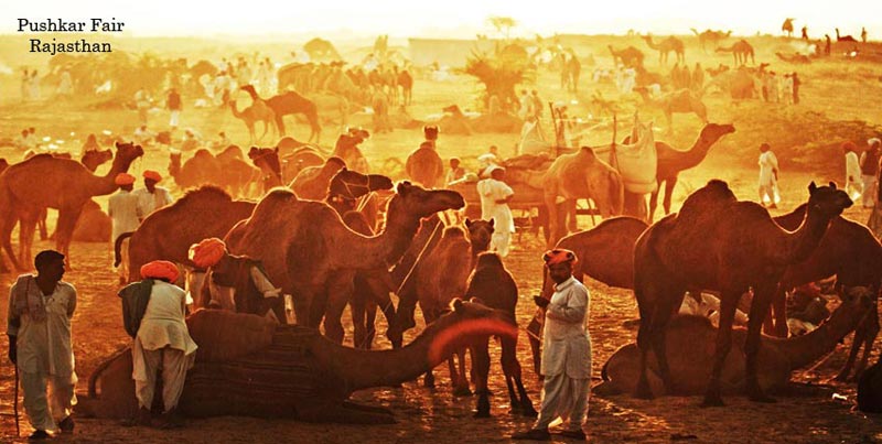 Golden Triangle Tour With Udaipur And Pushkar For Groups