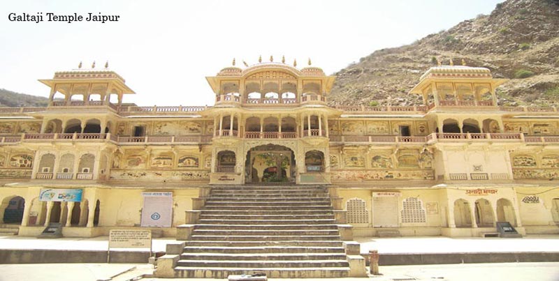 Jungle Safari With Golden Triangle Tour