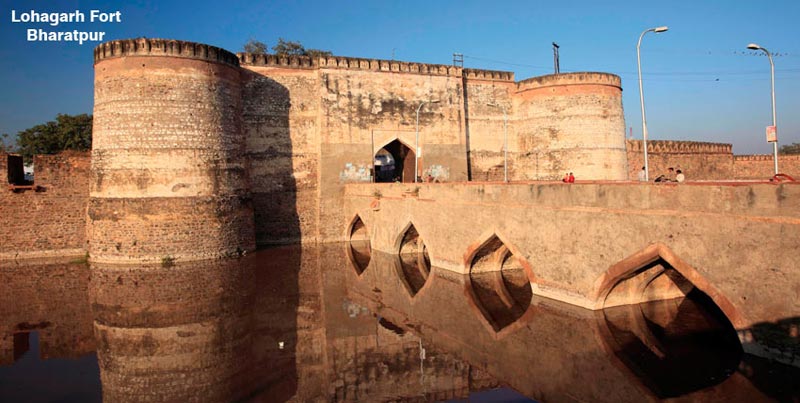 Jungle Safari With Golden Triangle Tour