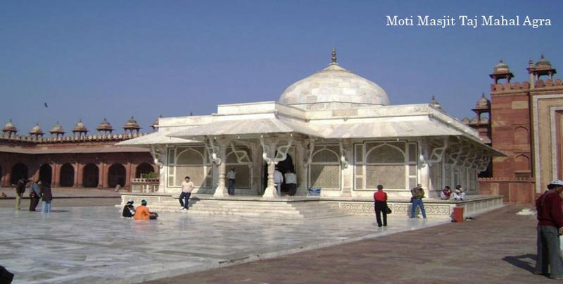 Group Tour Package of Golden Triangle with Tiger