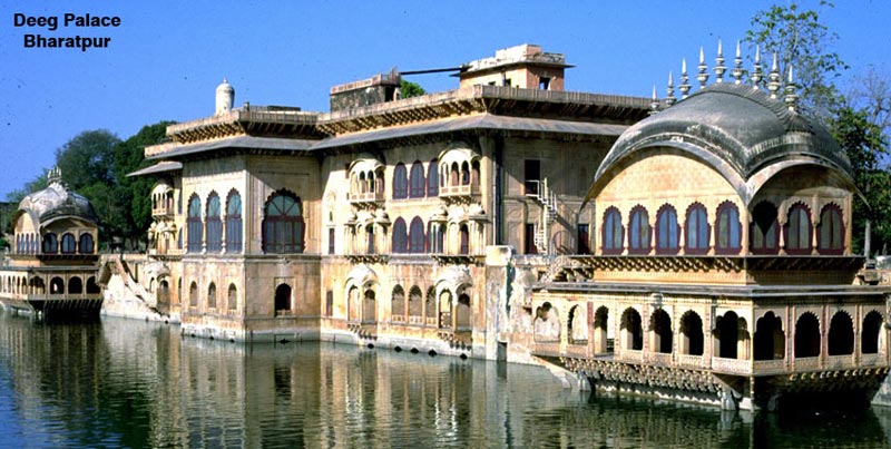 Group Tour Package of Golden Triangle with Birds