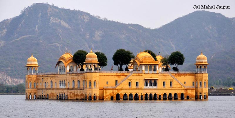 Group Tour Package of Golden Triangle with Birds