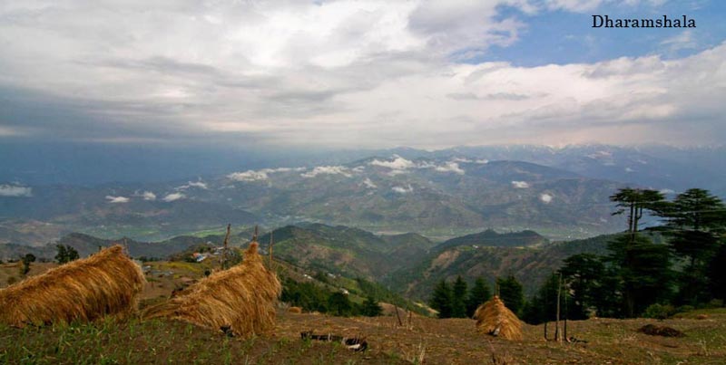 Shimla Manali Dharamsala Dalhousie Tour Package With Golden Temple And Delhi For Groups