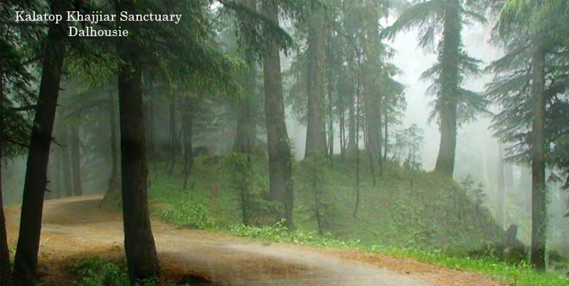 Shimla Manali Dharamshala Dalhousie Tour Package With Golden Temple And Chandigarh