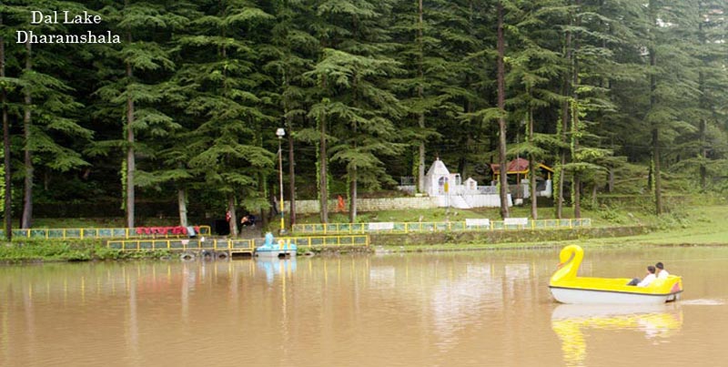 Magical Shimla Manali Dharamshala Dalhousie Tour Package With Chandigarh For Groups