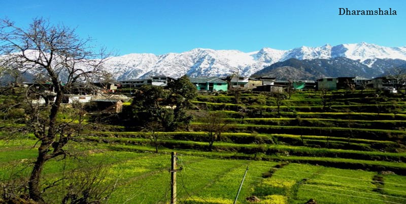 Shimla Manali Dharamsala Dalhousie Tour Package With Vaishno Devi Darshan For Groups