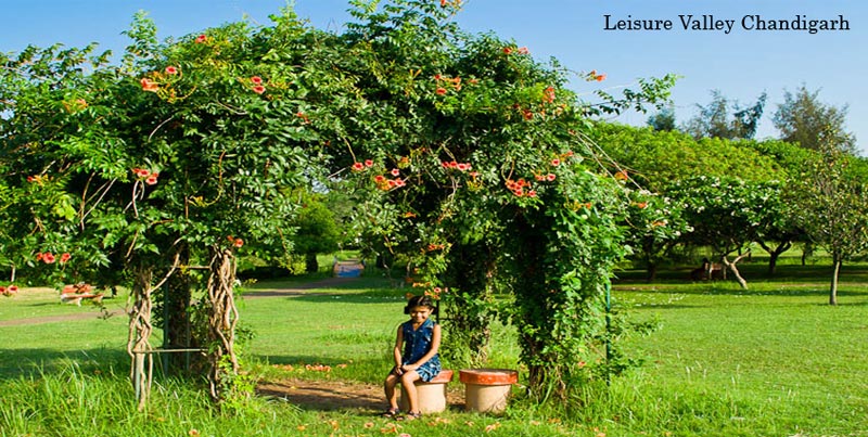 Best Of Shimla Manali Tour Package With Chandigarh For Groups