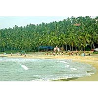 Best Of Kerala Honeymoon Tour