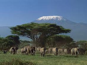 Amboseli And Tsavo West National Parks Safari Package