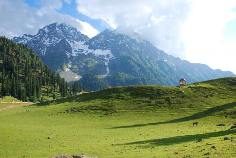 Magical Kashmir With Sonamarg Tour