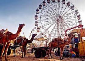 Pushkar Fair Tour