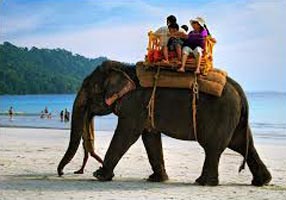 A Glimpse Of Andaman's Tour
