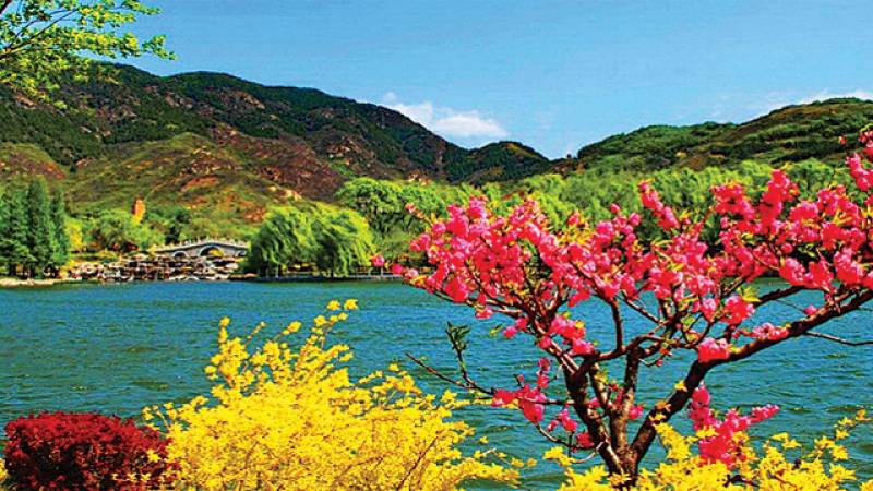 Fascinating Kashmir 3 Nights 4 Days