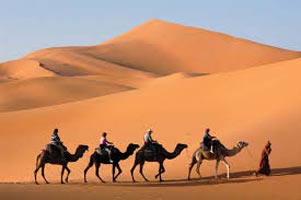 Desert Camel Safari Tour