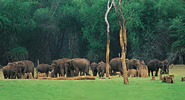 Kerala Tour With Air Fare