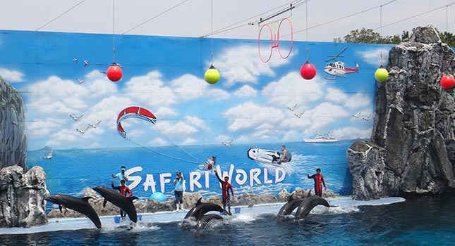 Amazing Thailand Package