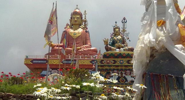 East Himalayan Glitter