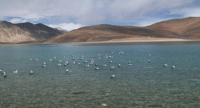 Leh - Nubra Valley - Pangong Lake package