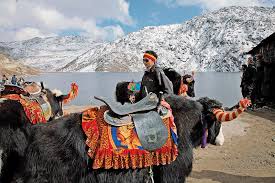 3 Night / 4 Days ( Gangtok 3 Night ) Tour