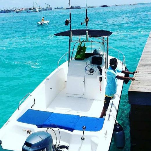 Dolphin Watching Tour