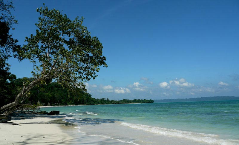 Discover Andaman With Neil Island Tour