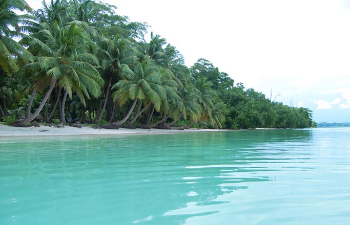 Andaman Island Honeymoon Tour