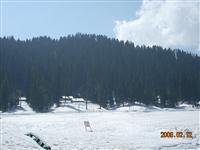 Glimpses Of Kashmir Tour Package