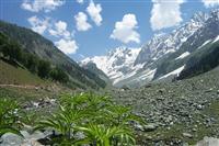 Heavenly Kashmir Tour Package