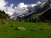 Exotic Kashmir Tour Paxkage