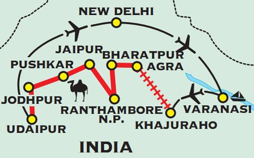 Camel Fair In India Package