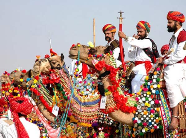 Camel Fair In India Package
