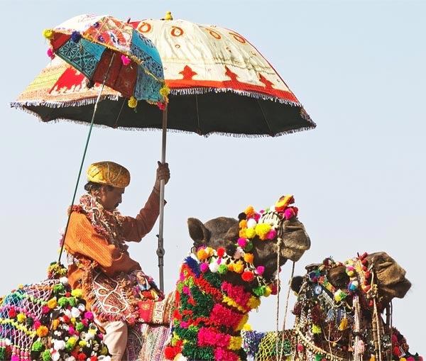 Camel Fair In India Package