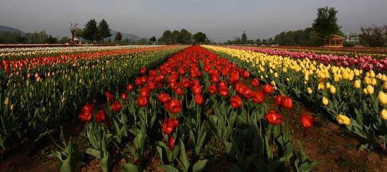 Kashmir Trip Package