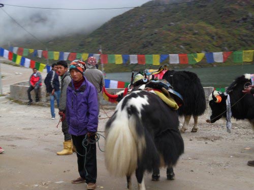 Splendid Tour To Sikkim