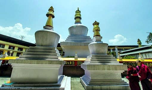 Essence Of Sikkim Tour