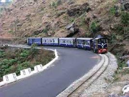 Magical Darjeeling Tour