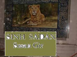 Loin Safari Tour Package