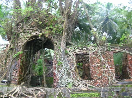 Andaman Package 3N/4D