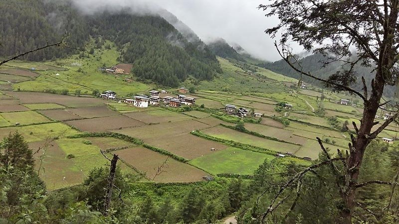 Beautiful Bhutan Tour