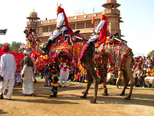 Camel Festival Package