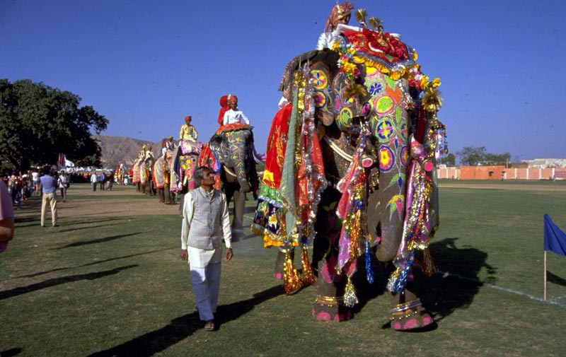 Central India With Rajasthan Package