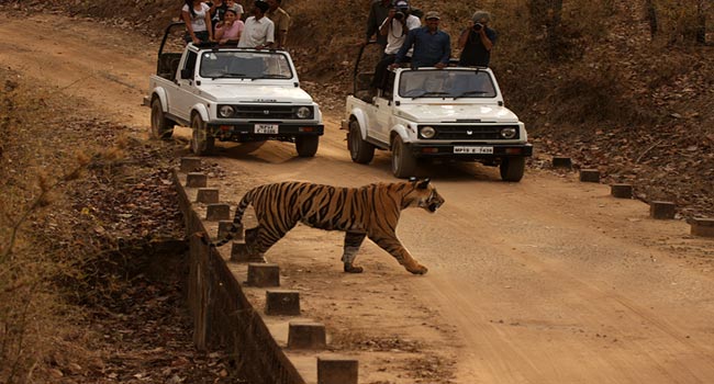 Golden Triangle With Ranthambore Tiger Park And Varanasi Package